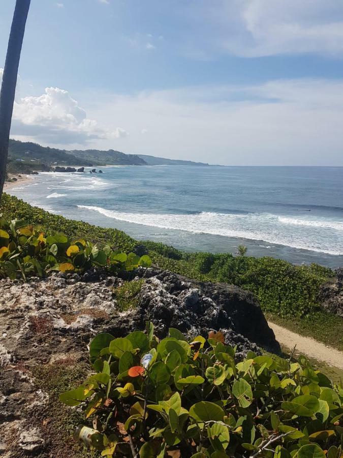 Breezy Apts Saint Philip Buitenkant foto
